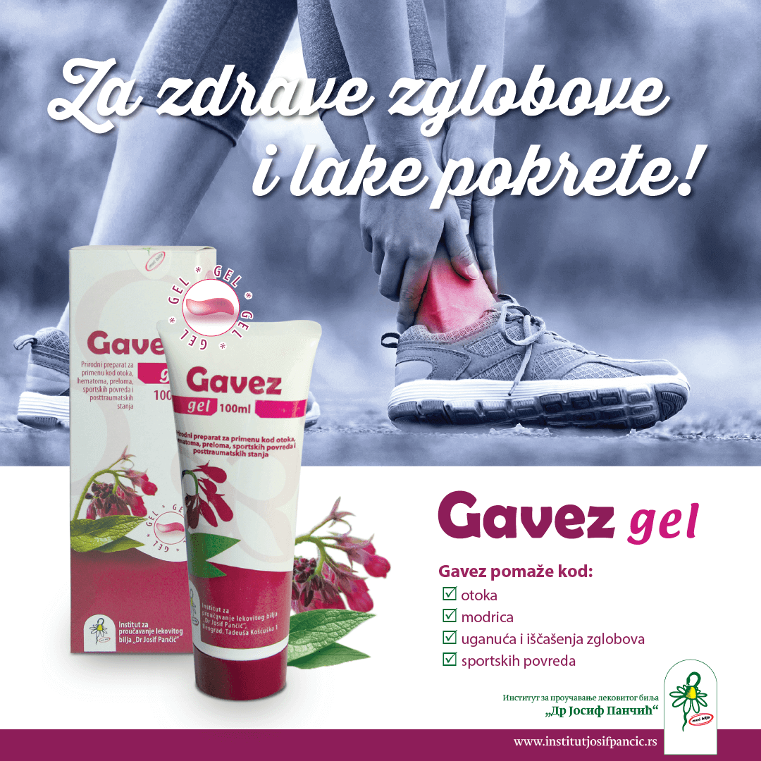 Gavez 1080x1080 za sajt 1